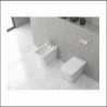 WC LT Installazione Filomuro + Sedile Termoindurente Soft Close - Ceramica - Colore BIANCO