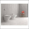 WC Sospeso ELIOS con Sedile Termoindurente Soft Close SLIM| Ceramica - Colore Bianco